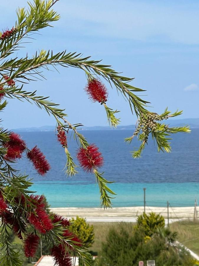 Hébergement de vacances Seaview Dreams *