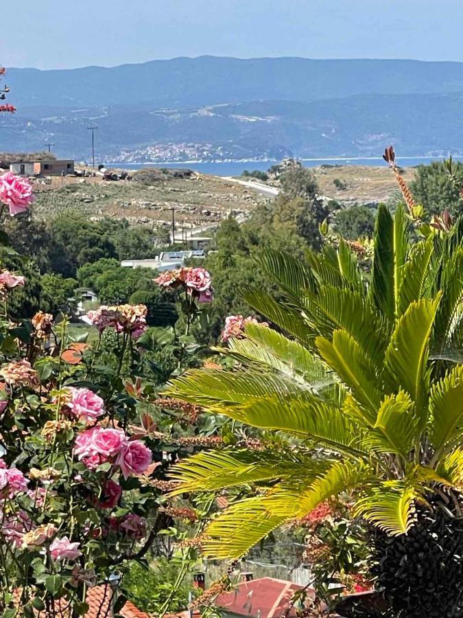 Hébergement de vacances Seaview Dreams