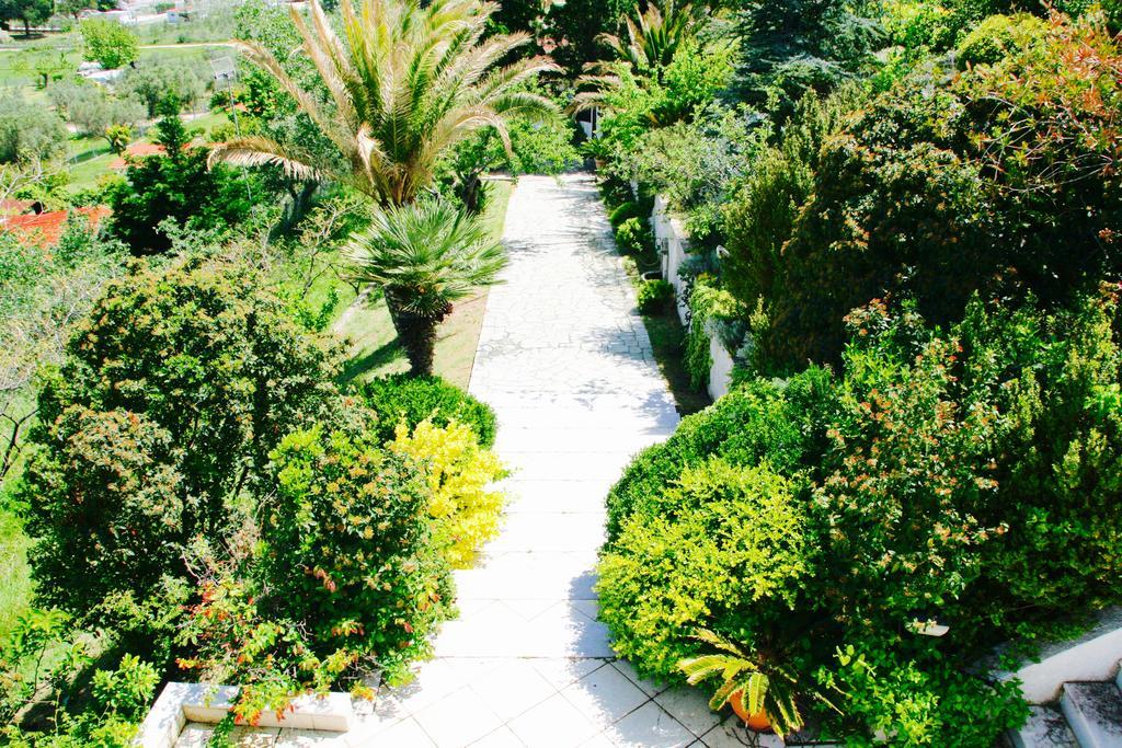 Seaview Dreams * Ormos Panagias